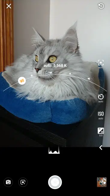 Motocam2