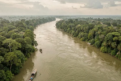Vue aérienne d'un immense fleuve tropical sinuant à travers la forêt amazonienne, avec des eaux boueuses et une végétation dense à perte de vue