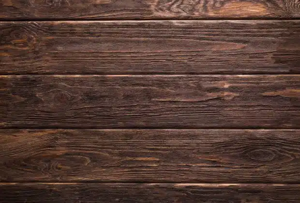 Formation filière forêt-bois et ameublement : pourquoi choisir ?