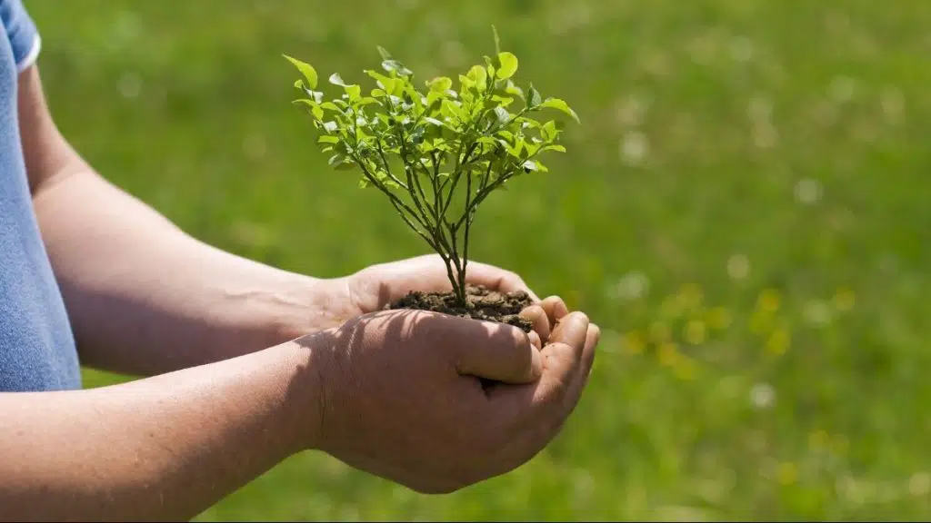 sont les avantages qu’offre le secteur de l’environnement