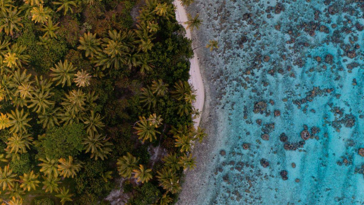 Tahiti contre Seychelles : quelle destination paradisiaque choisir ?